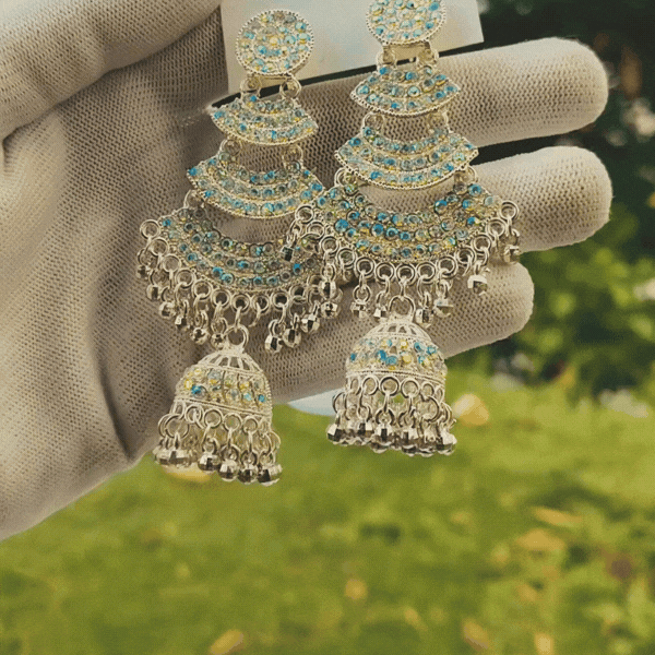 Premium Oxidised Jhumka Earrings Main Image