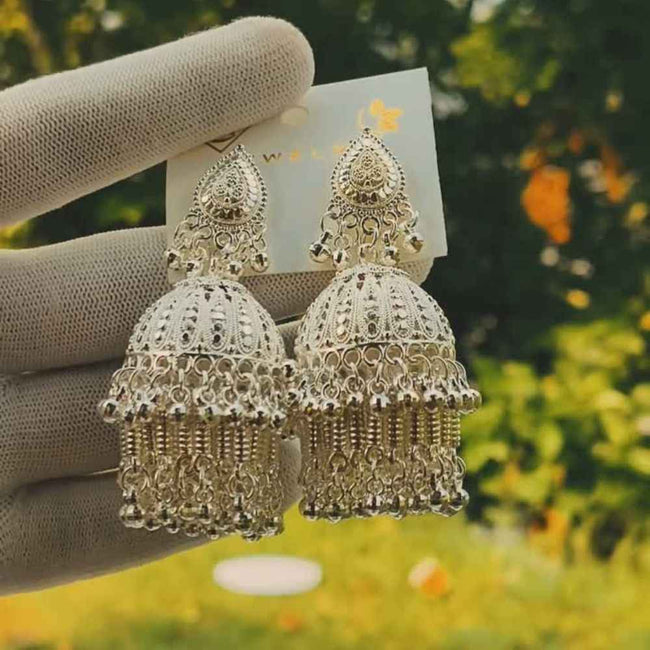 Silver Oxidised Dome Jhumka Earrings Hover Image
