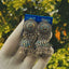 Oxidised Stud Jhumka Earrings
